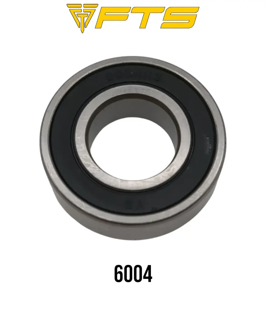ROLL- 6004-2RS