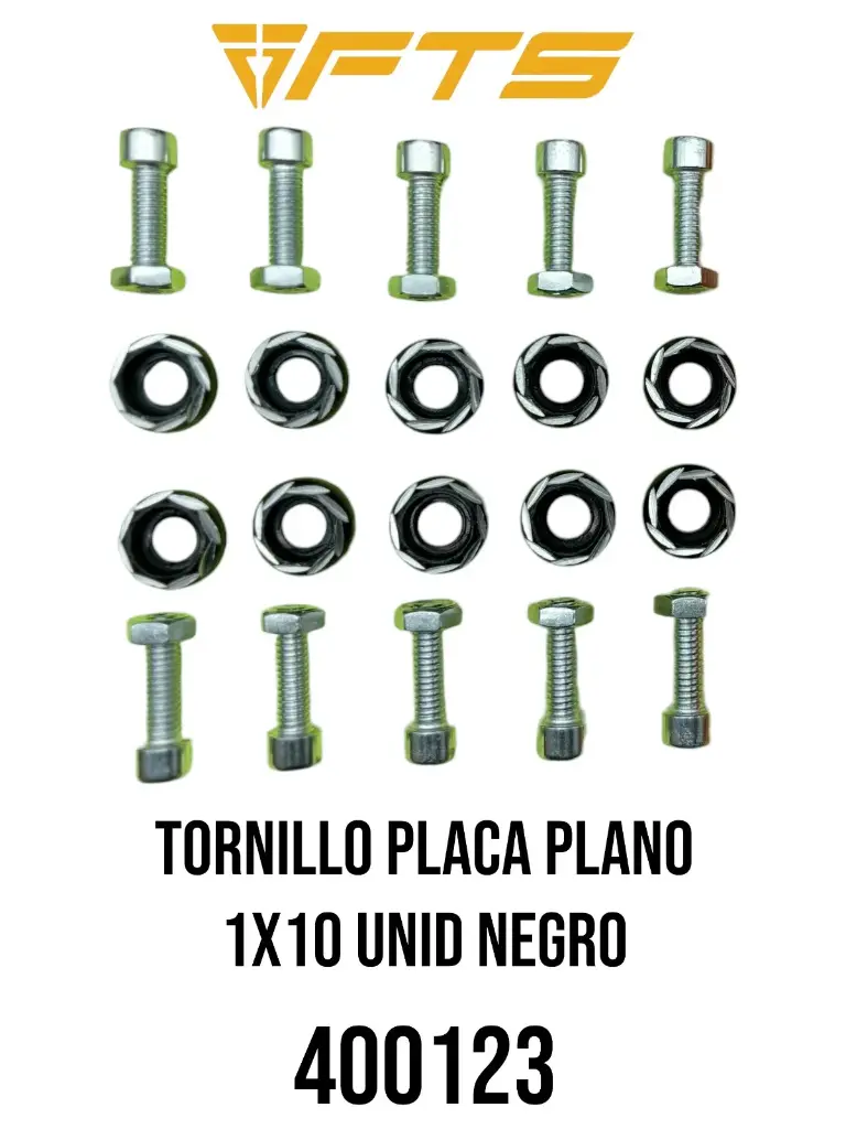TORNILLO PLACA PLANO 1X10 UNID NEGRO