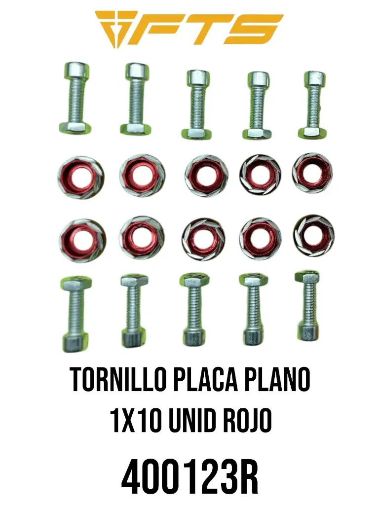 TORNILLO PLACA PLANO 1X10 UNID ROJO