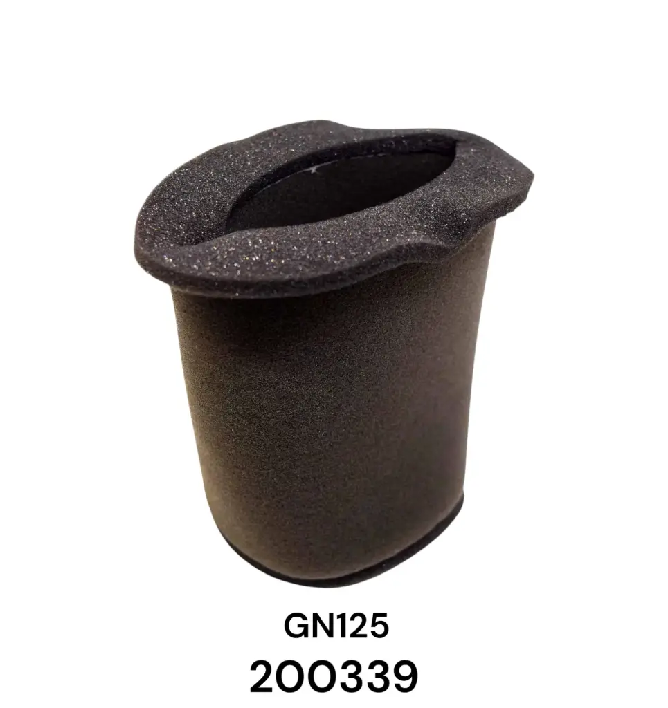 FILTRO AIRE GEN P/ GN125/EN125/HJ125-7