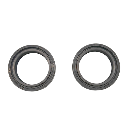 RETENEDOR SUSPENSION GEN P/ XT225 36X48X11 1X2
