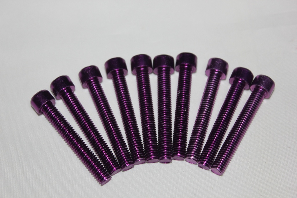 TORNILLO MOTOR 6MMX50MM PAQ10 AZ