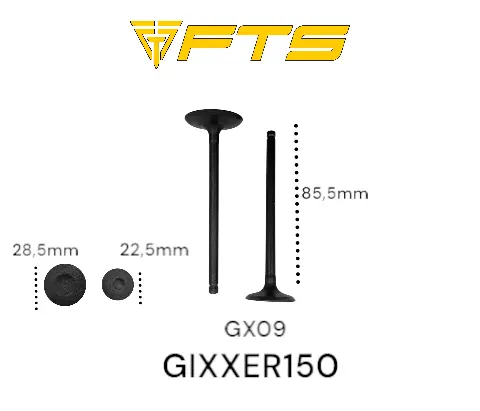 VALVULA ADM/ESC GEN P/  GIXXER150