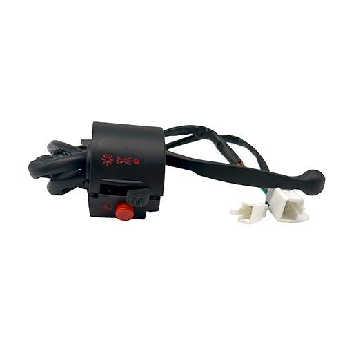 SWITCH DERECHO MOTOBICI 110