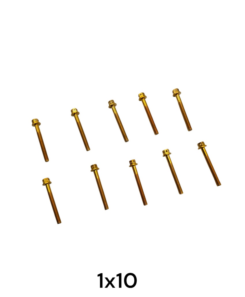 TORNILLO HEXAGONAL DORADO 6X40MM 1X10