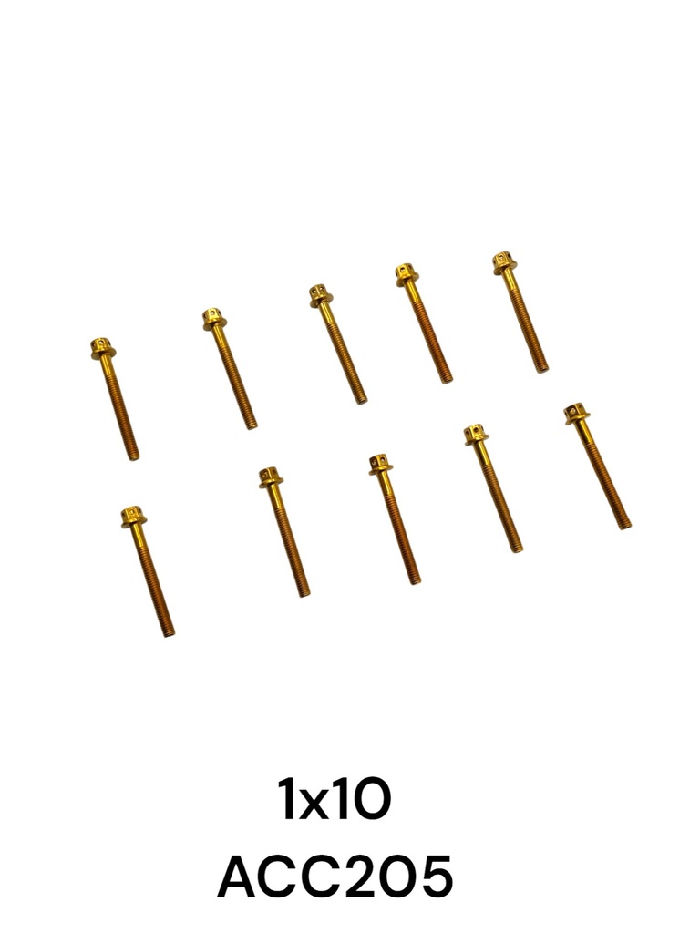 TORNILLO HEXAGONAL DORADO 6X50MM 1X10